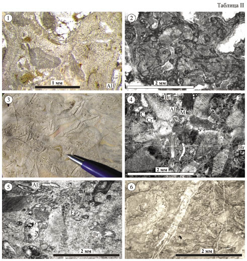 Lower Moscovian Limestones of the Bogdashan Range (NW China) as an