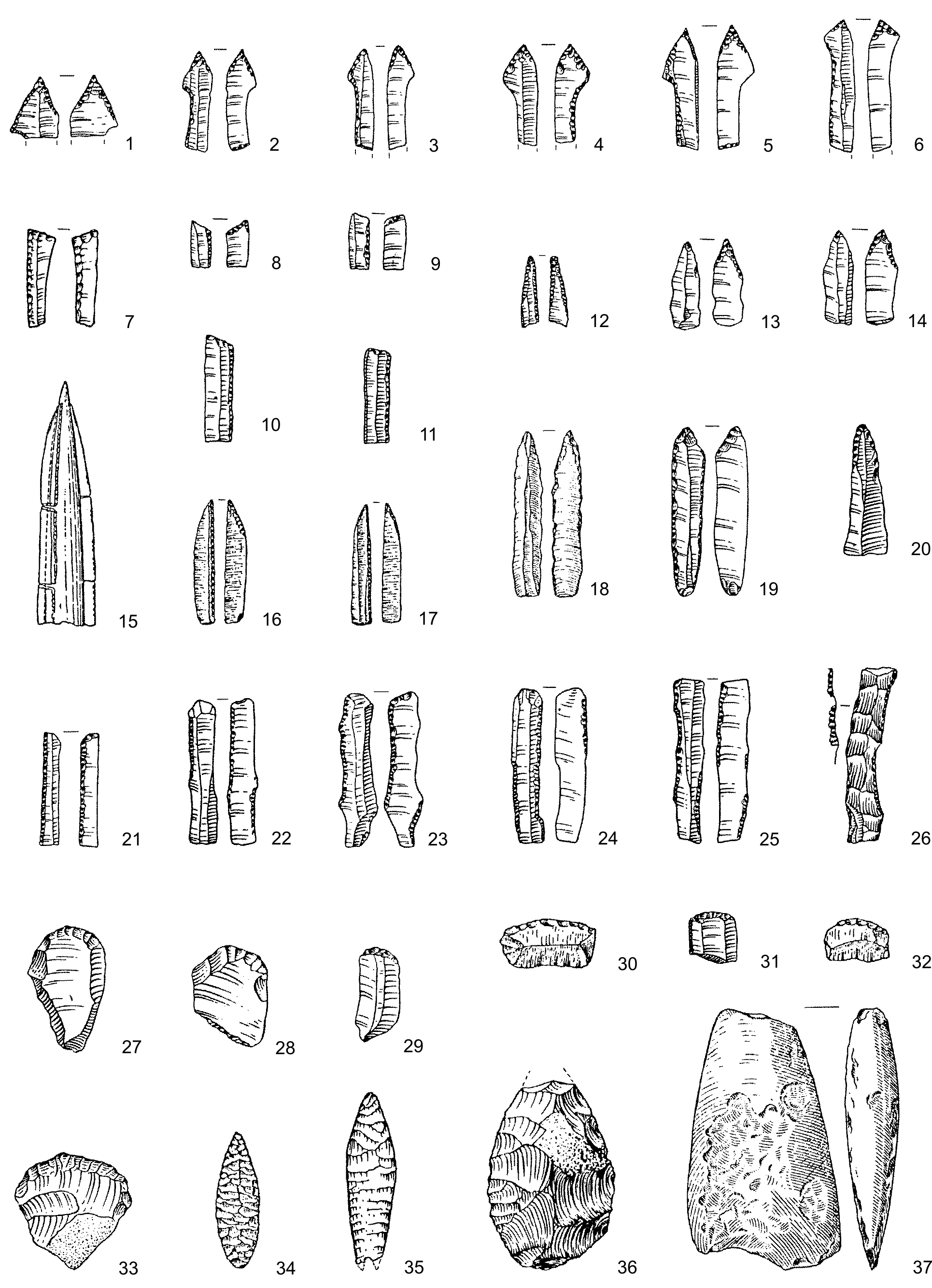 Returning to the question of the role of Kelteminar culture in the history  of Eurasia of the neolithic – early bronze age - Sverchkov - Izvestiya of  Samara Scientific Center of the