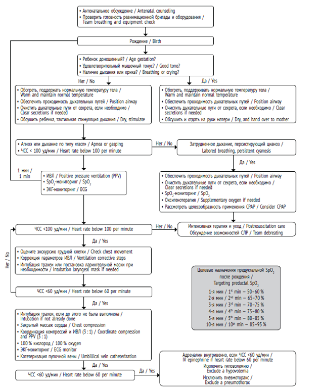 Алгоритмы новорожденных. Схема первичной реанимации новорожденного. СЛР новорожденного алгоритм. Схема реанимации новорожденных в родильном зале. Алгоритм реанимации новорожденного в родильном зале.