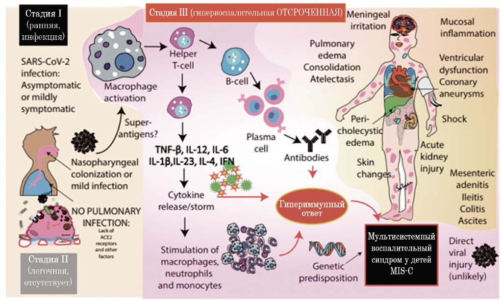 toxic shock syndrome pathogenesis