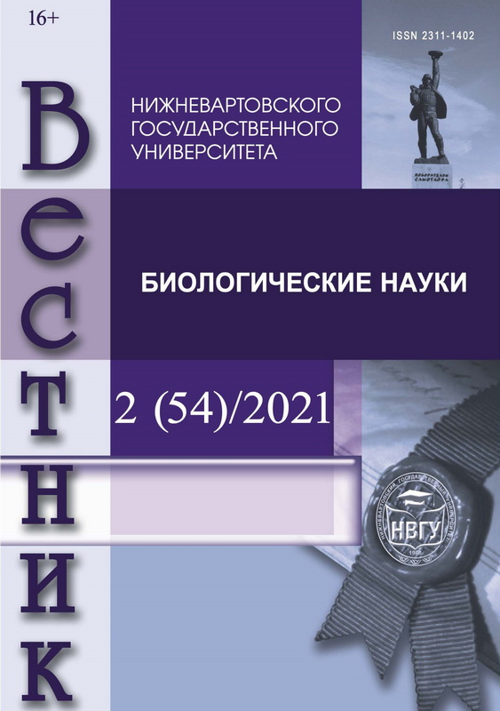 Page Header Logo