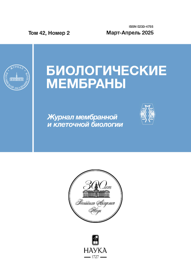 Логотип Заголовка Страницы
