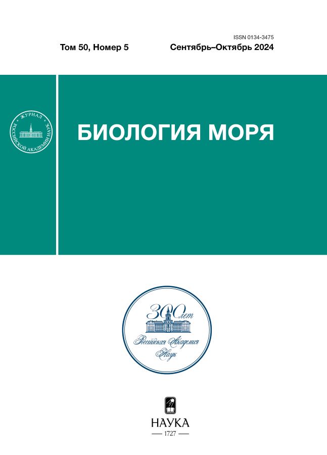 Логотип Заголовка Страницы