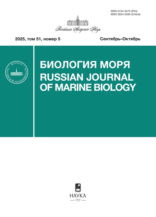 Логотип Заголовка Страницы