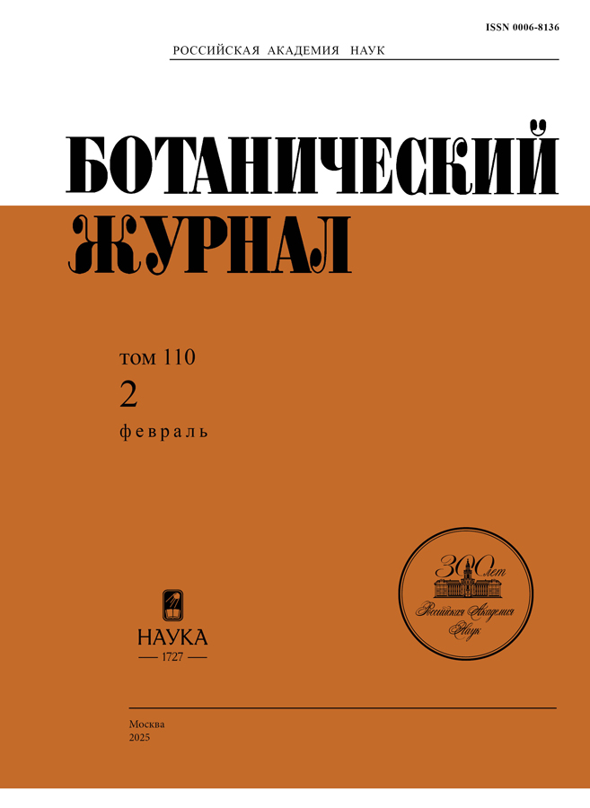 Логотип Заголовка Страницы