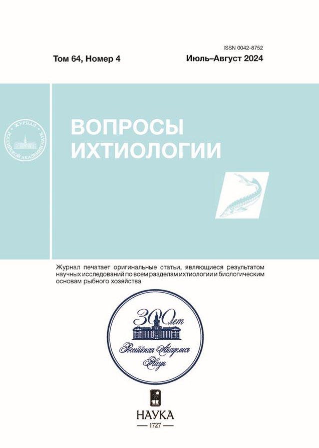 Логотип Заголовка Страницы