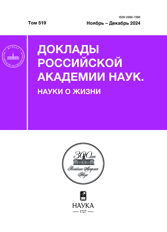 Логотип Заголовка Страницы