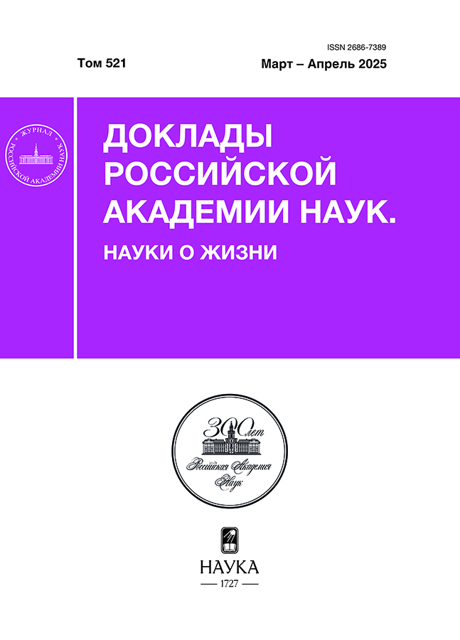 Логотип Заголовка Страницы