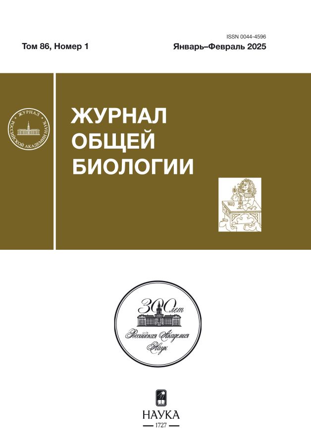 Бет Тақырыбының Логотипі