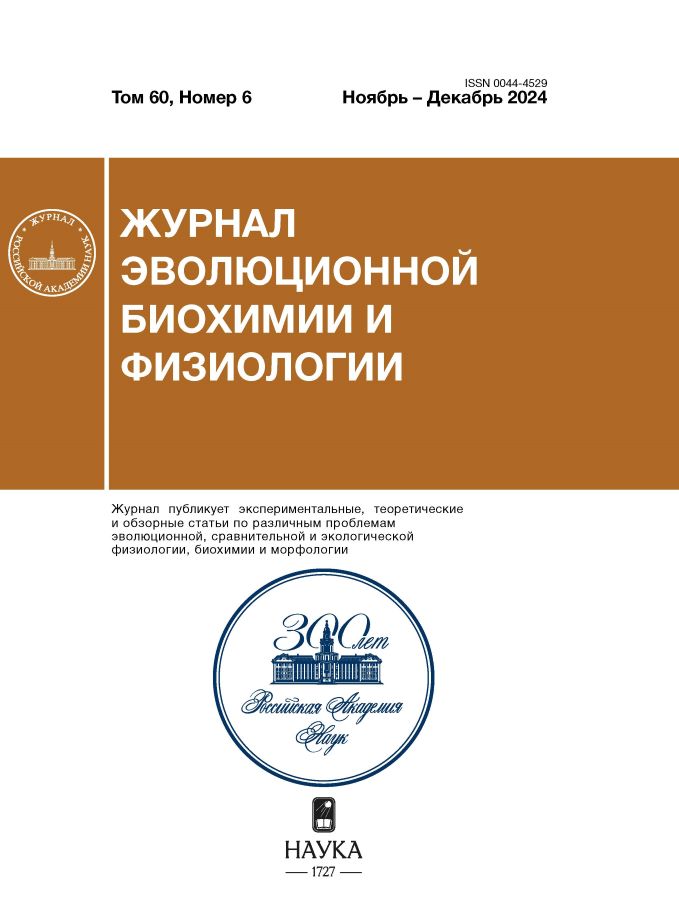 Логотип Заголовка Страницы