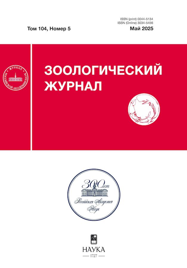 Логотип Заголовка Страницы