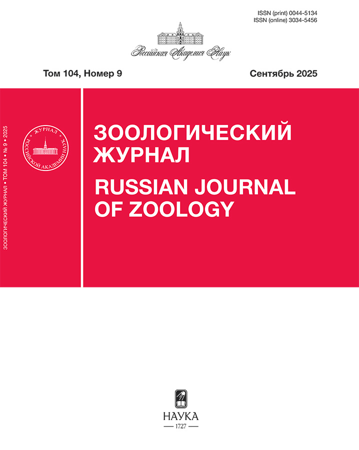 Page Header Logo