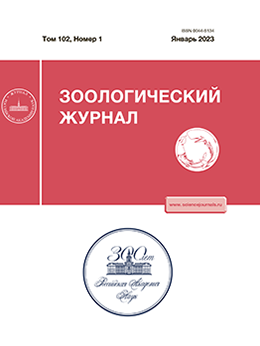 Page Header Logo