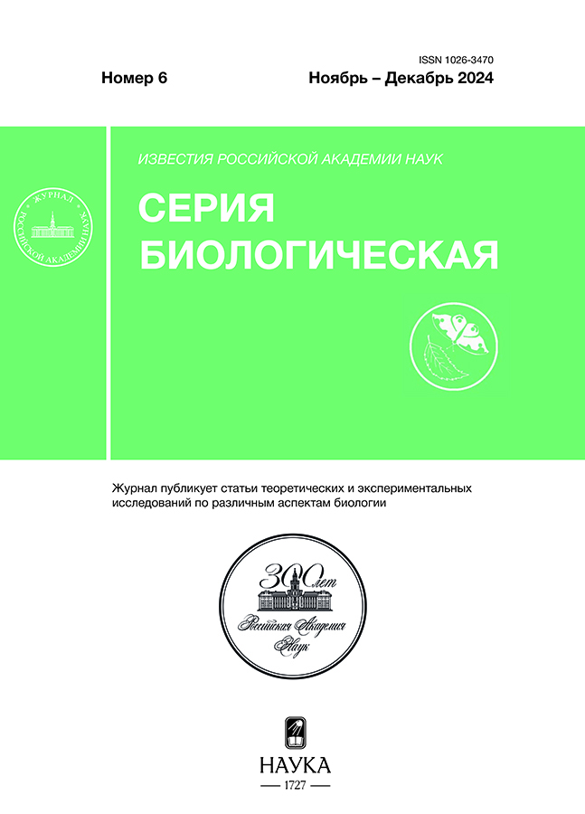 Логотип Заголовка Страницы