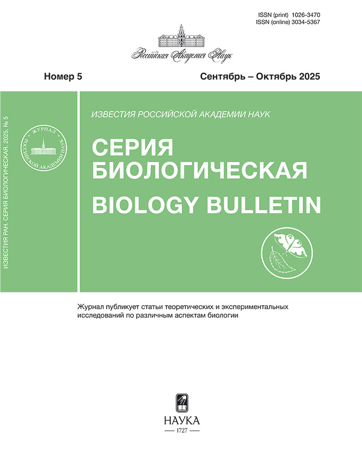 Page Header Logo
