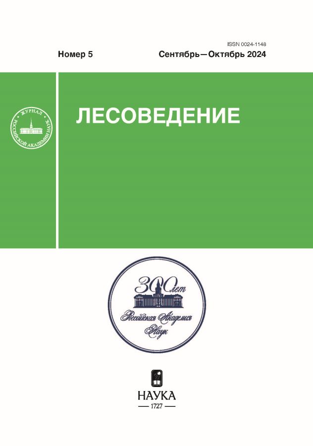 Логотип Заголовка Страницы