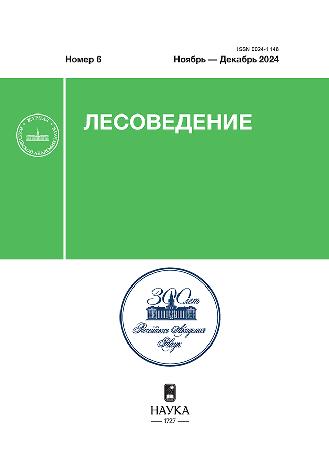 Логотип Заголовка Страницы