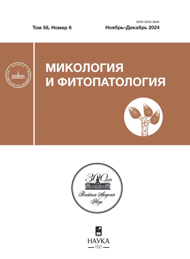 Логотип Заголовка Страницы