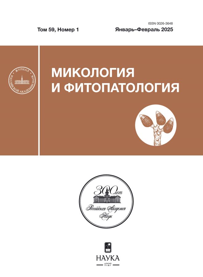 Page Header Logo