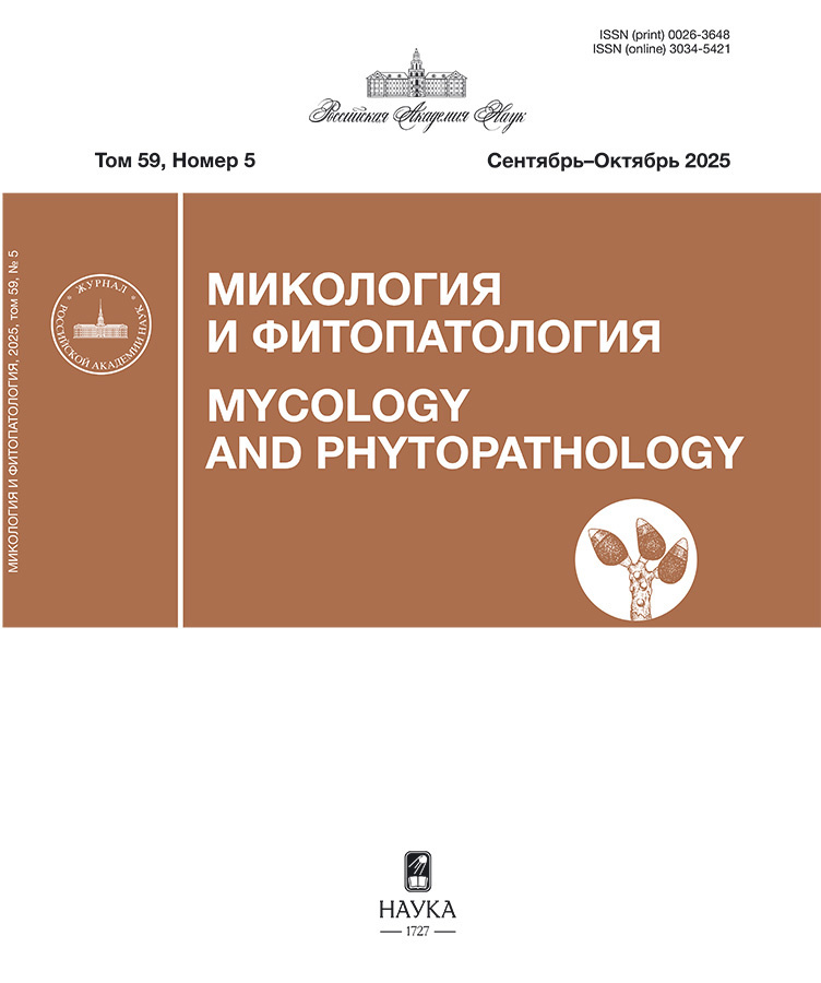 Logotipo do cabeçalho da página