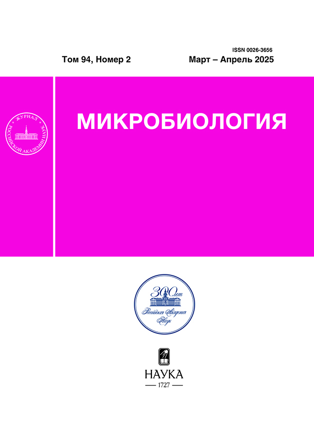 Логотип Заголовка Страницы