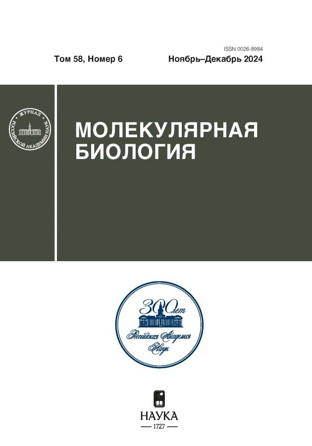 Логотип Заголовка Страницы
