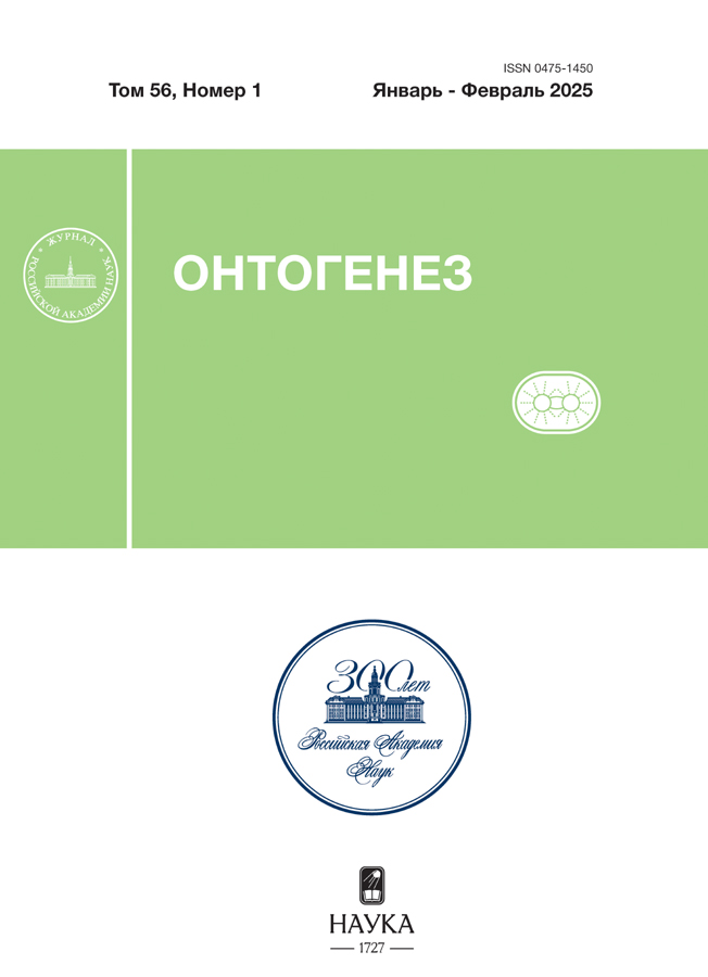 Логотип Заголовка Страницы