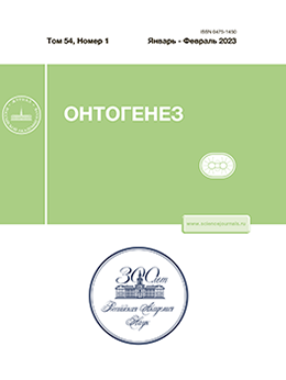 Page Header Logo