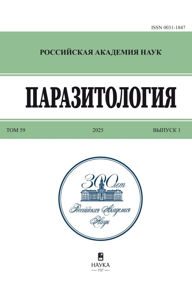 Логотип Заголовка Страницы
