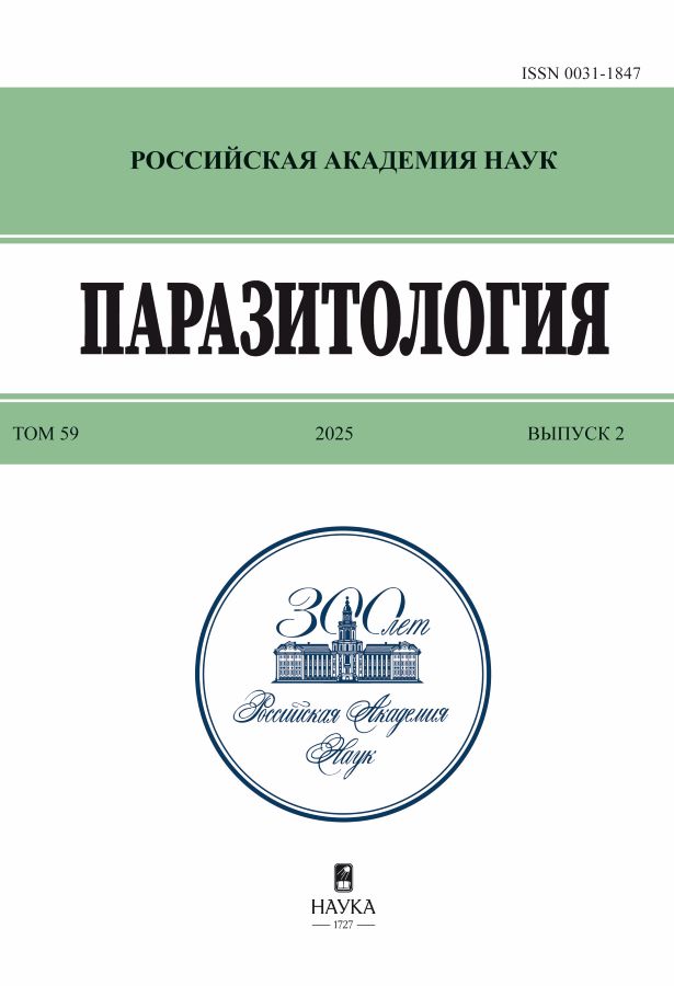 Бет Тақырыбының Логотипі