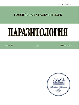 Логотип Заголовка Страницы