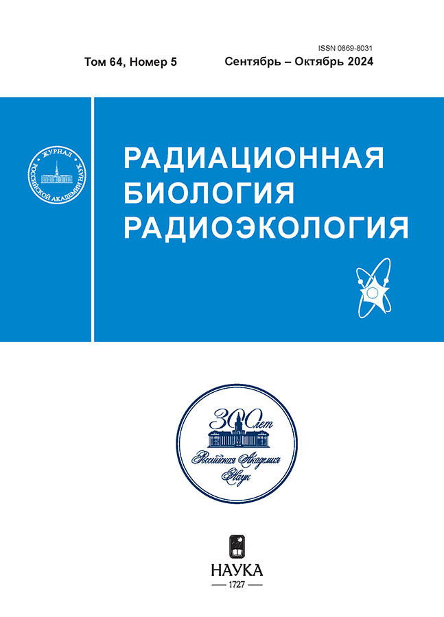 Логотип Заголовка Страницы