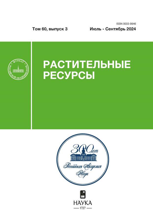 Логотип Заголовка Страницы