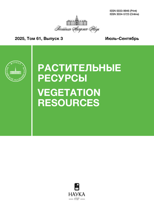 Логотип Заголовка Страницы