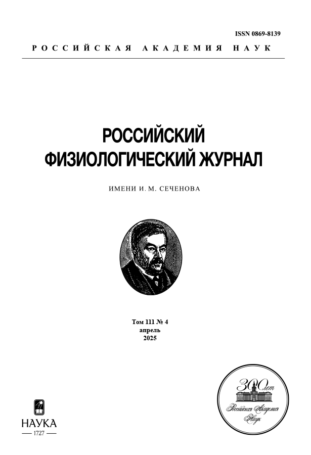 Логотип Заголовка Страницы
