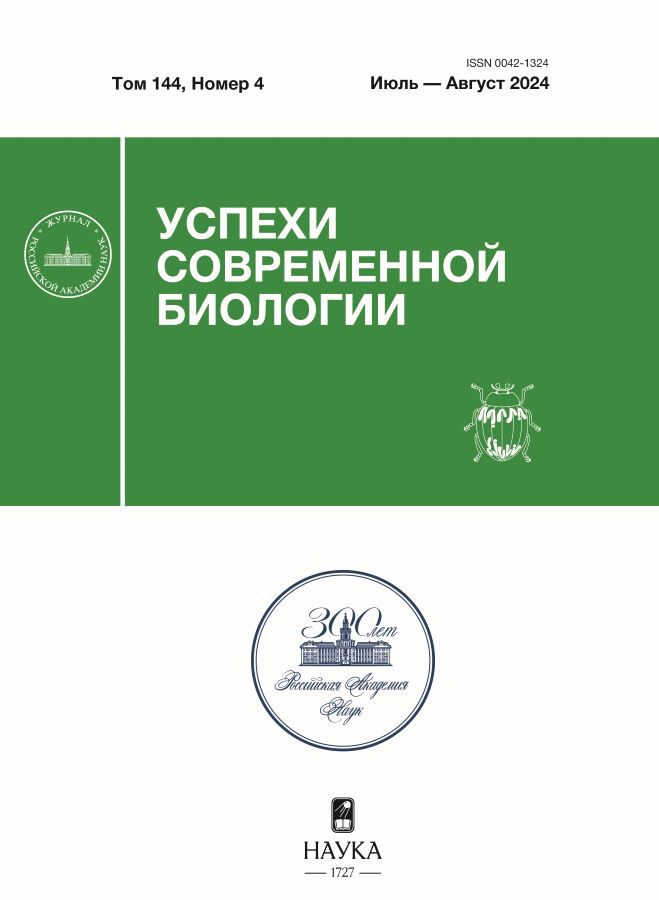 Логотип Заголовка Страницы