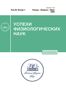 Логотип Заголовка Страницы