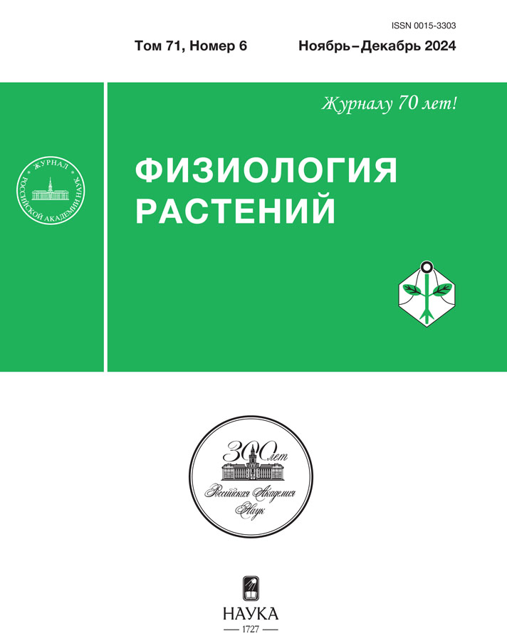 Логотип Заголовка Страницы