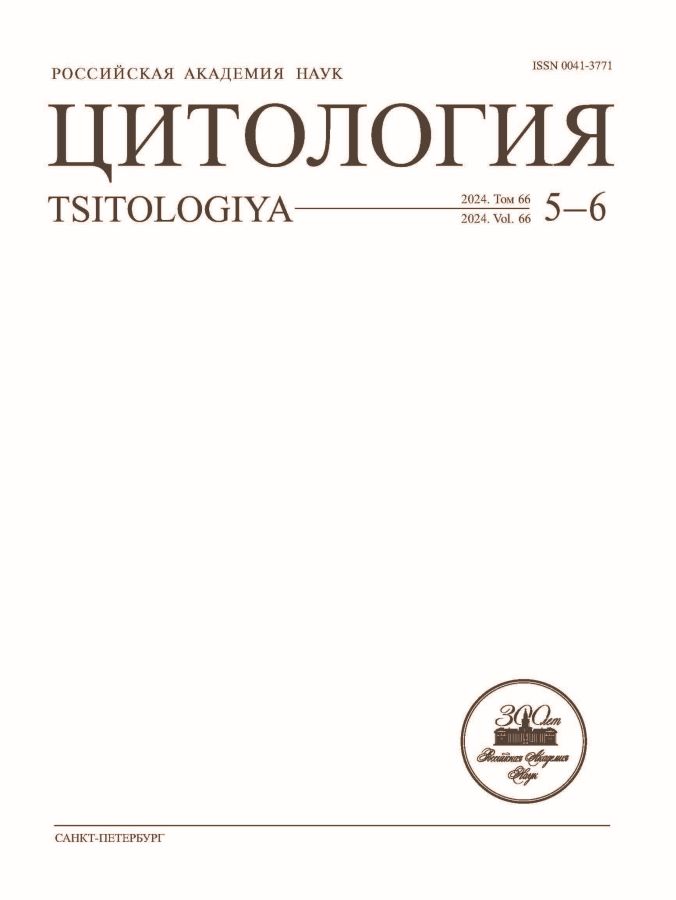 Логотип Заголовка Страницы