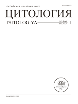 Logotipo do cabeçalho da página