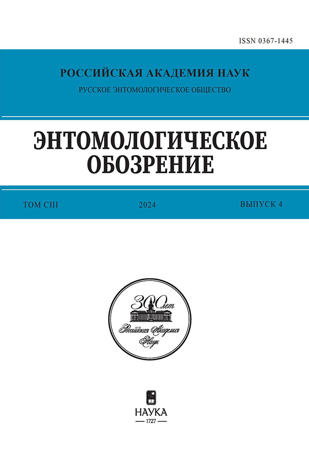 Логотип Заголовка Страницы