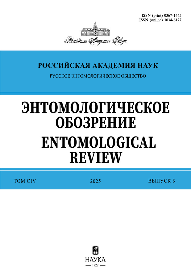 Logotipo do cabeçalho da página